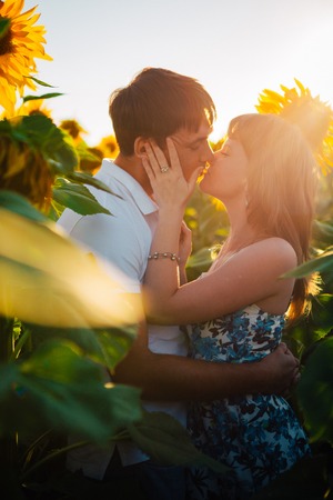 Romantic couple standing  and kissing on background summer meadow sunflower  sunsetの写真素材