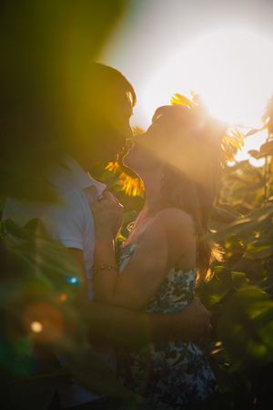 Romantic couple standing  and kissing on background summer meadow sunflower  sunsetの写真素材