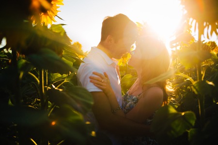 Romantic couple standing  and kissing on background summer meadow sunflower  sunsetの写真素材