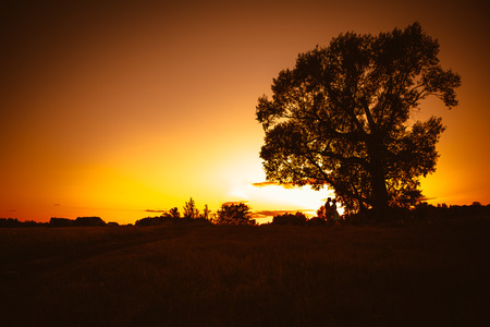 Romantic couple standing  and kissing on background summer meadow sunsetの写真素材
