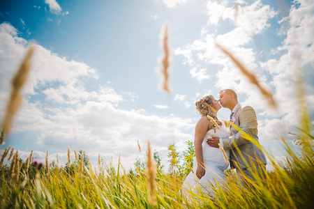 Wedding  beautiful young couple kissing on the background of meadowsの写真素材
