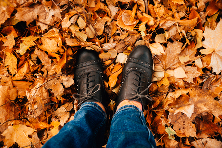 Women's  legs in dark  shoes standing on a yellow fall maple leaves to autumn parkの写真素材