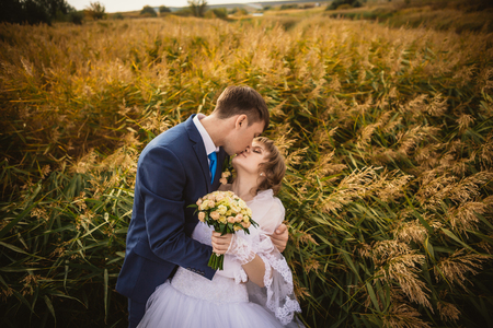 young bride and groom on  the background of the fieldの写真素材