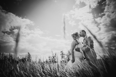 Black white  photography  wedding  beautiful young couple kissing on the background of meadowsの写真素材