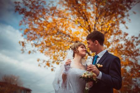 young bride and groom  on the background of the autumn landscapeの写真素材