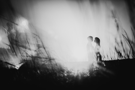 Black white photography romantic silhouette  couple standing and kissing on background summer meadow...