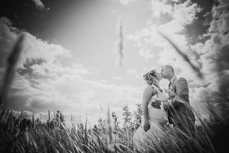 Black white  photography  wedding  beautiful young couple kissing on the background of meadowsの写真素材