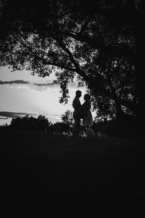Black white photography romantic couple standing  and kissing on background summer meadow sunsetの写真素材