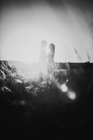 Black white photography romantic couple standing  and kissing on background summer meadow sunsetの写真素材