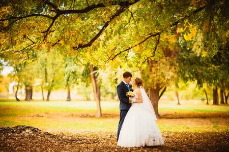 young bride and   groom on the background of autumn landscapeの写真素材