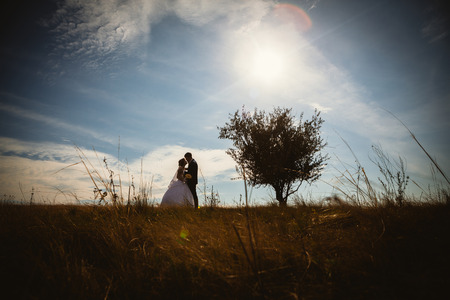 young bride and groom on  the background of the fieldの写真素材