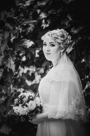 Black white  photography beautiful young bride stand on  background forestの写真素材