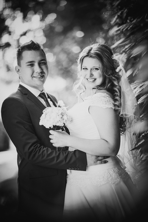 Black white  photography happy couple  bride and groom embracing they stand on background nature close-upの写真素材