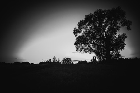 Black white photography romantic couple standing  and kissing on background summer meadow sunsetの写真素材