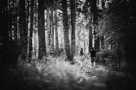Black white photography romantic young couple go  and holding hands on background summer forestの写真素材