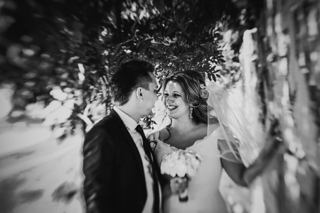 Black white photography happy couple  bride and groom embracing they stand on background stone wall close-upの写真素材