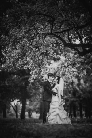 Black white photography beautiful young couple stand on  background forestの写真素材
