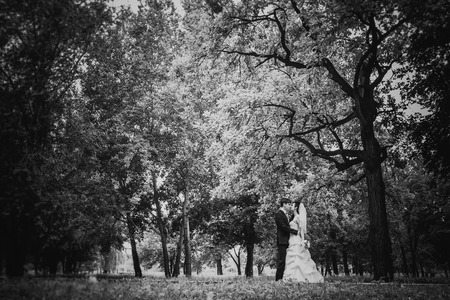 Black white photography beautiful young couple stand on  background forestの写真素材