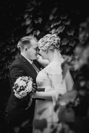 Black white  photography beautiful young couple stand on  background forestの写真素材