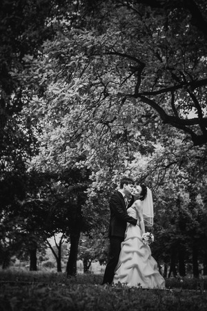 Black white photography beautiful young couple stand on  background forestの写真素材