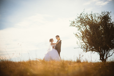 young bride and groom on  the background of the fieldの写真素材