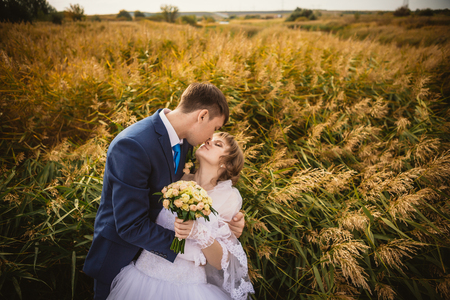 young bride and groom on  the background of the fieldの写真素材