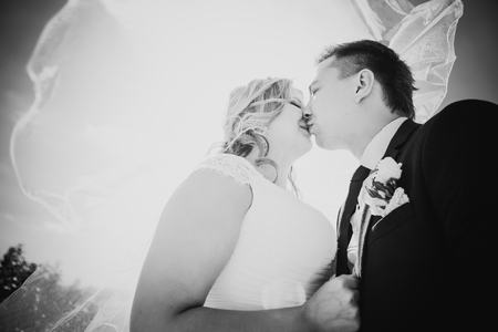 Black white photography happy couple  bride and groom embracing they stand on background nature close-upの写真素材