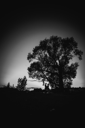 Black white photography romantic couple standing  and kissing on background summer meadow sunsetの写真素材