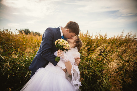 young bride and groom on  the background of the fieldの写真素材