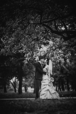 Black white photography beautiful young couple stand on  background forestの写真素材