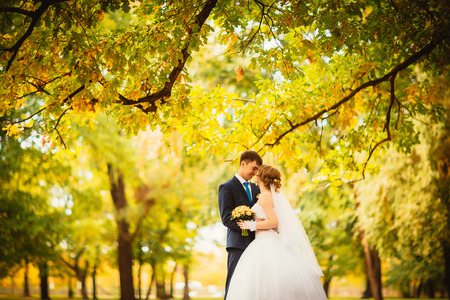 young bride and   groom on the background of autumn landscapeの写真素材
