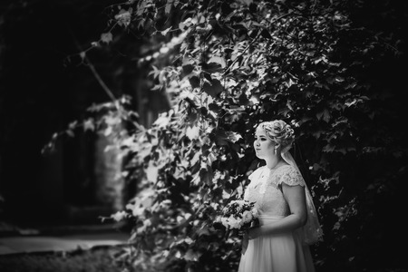 Black white  photography beautiful young bride stand on  background forestの写真素材