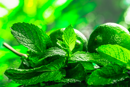 Fresh green mint and lime close-up on a dark green background.の写真素材