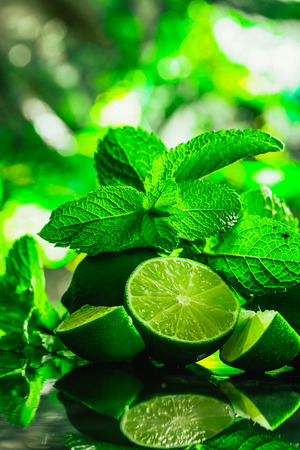 Fresh green mint and lime close-up on a dark green background.の写真素材