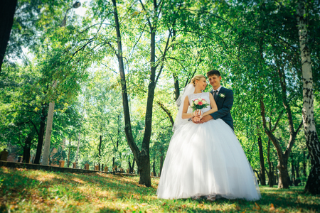 the bride and groom on the background of the park alleyの写真素材