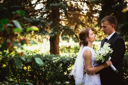 couple bride and groom on a park background.の写真素材