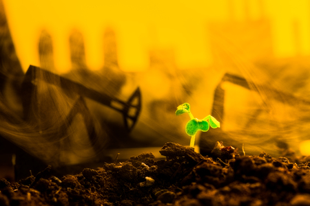 Young green plant in soil on background oil rocking machineの写真素材