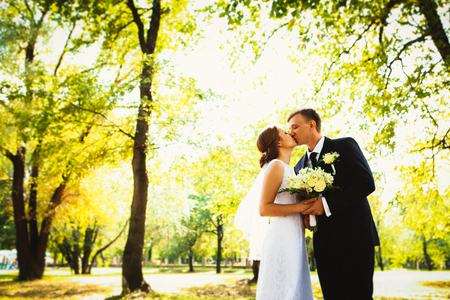 couple bride and groom on a park backgroundの写真素材