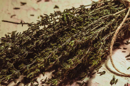 bundle of thyme sprigs on a textural backgroundの写真素材