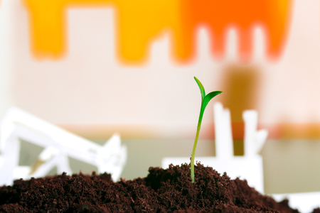 Young green plant in soil opposite factoryの写真素材