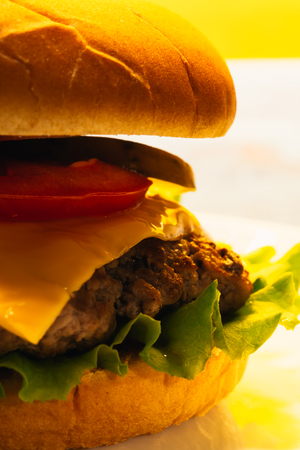 Cheeseburger close-up on a plateの写真素材