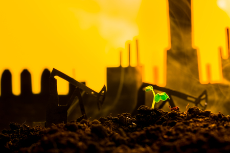 Young green plant in soil on background oil rocking machineの写真素材