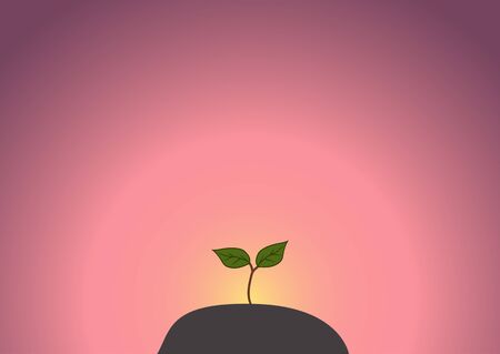 Young green sprout against the background of the sunriseのイラスト素材