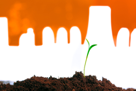 Young green plant in soil opposite factoryの写真素材