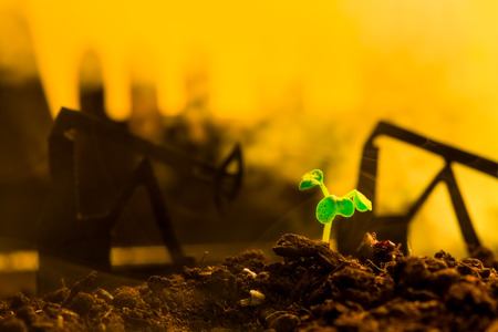 Young green plant in soil on background oil rocking machineの写真素材