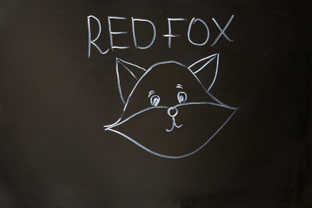 red fox portrait on black board backgroundの写真素材