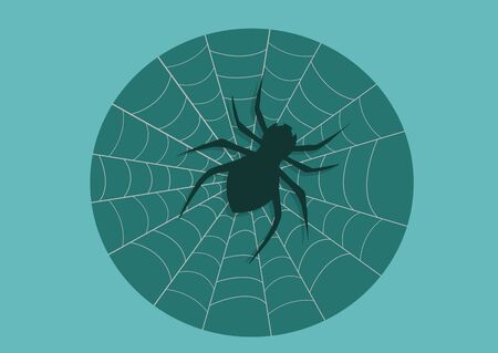 black spider on a web on a bright turquoise backgroundの写真素材