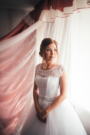 portrait of a young bride on a light backgroundの写真素材