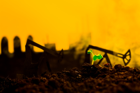 Young green plant in soil on background oil rocking machineの写真素材