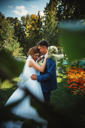 couple groom and bride hugging and kissing on nature park backgroundの写真素材